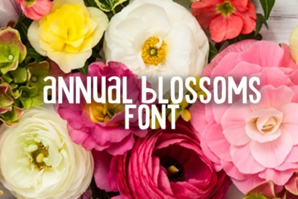 Annual Blossom: A Bold Display Font with Casual Charm