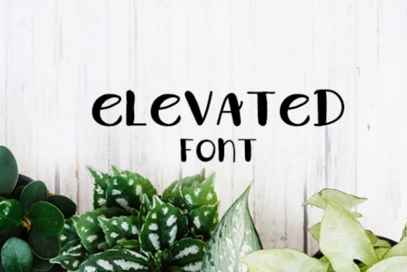 Elevated: The Playful Display Font for Campaigns