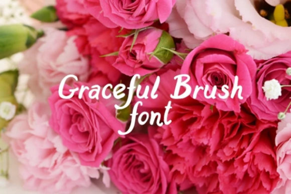 Graceful Brush: The Bold Display Font for Standout Campaigns