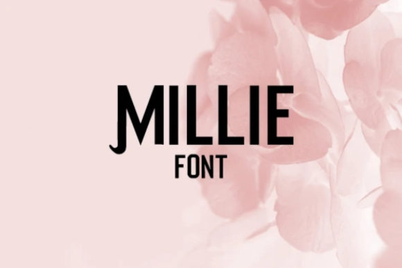 Millie Display Font for Handmade Products and Labels
