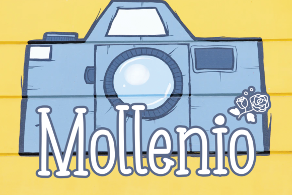 Mollenio Display Font for Clean, Consistent Branding
