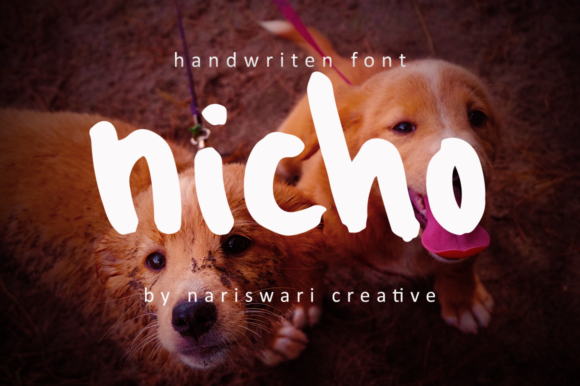 Nicho Font: A Bold Display Typeface with Casual Charm