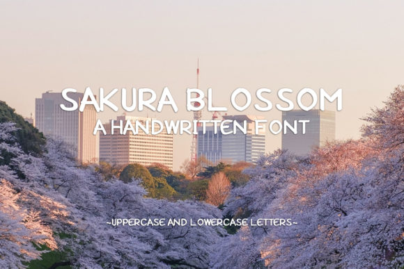 Sakura Blossom Font: A Sweet Display Typeface for Creatives