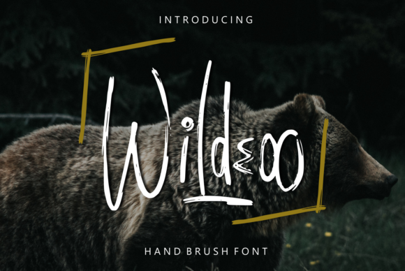 Wildeoo: A Brush Display Font for Editorial Design